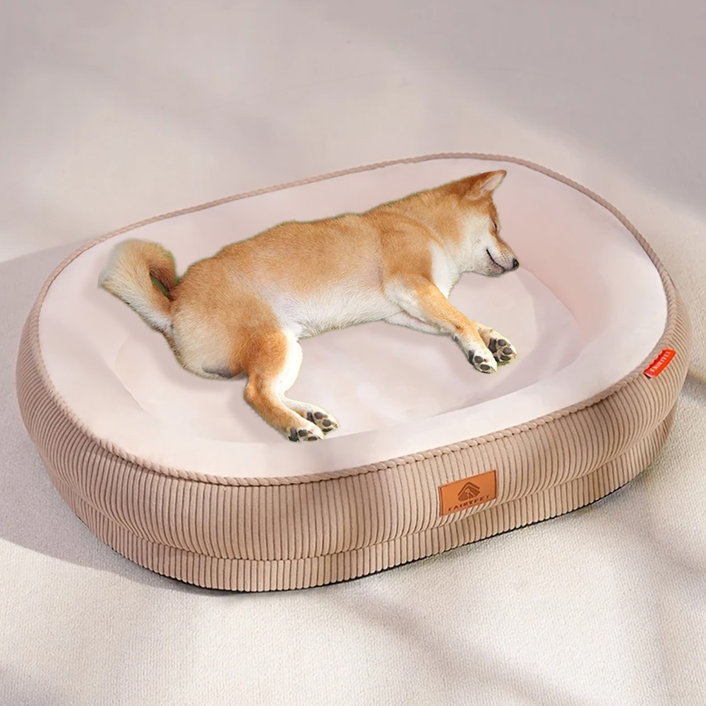 개과천선 블리스터 강아지 방석 애견방석 침대 반려견 쿠션 대형 강아지 쇼파