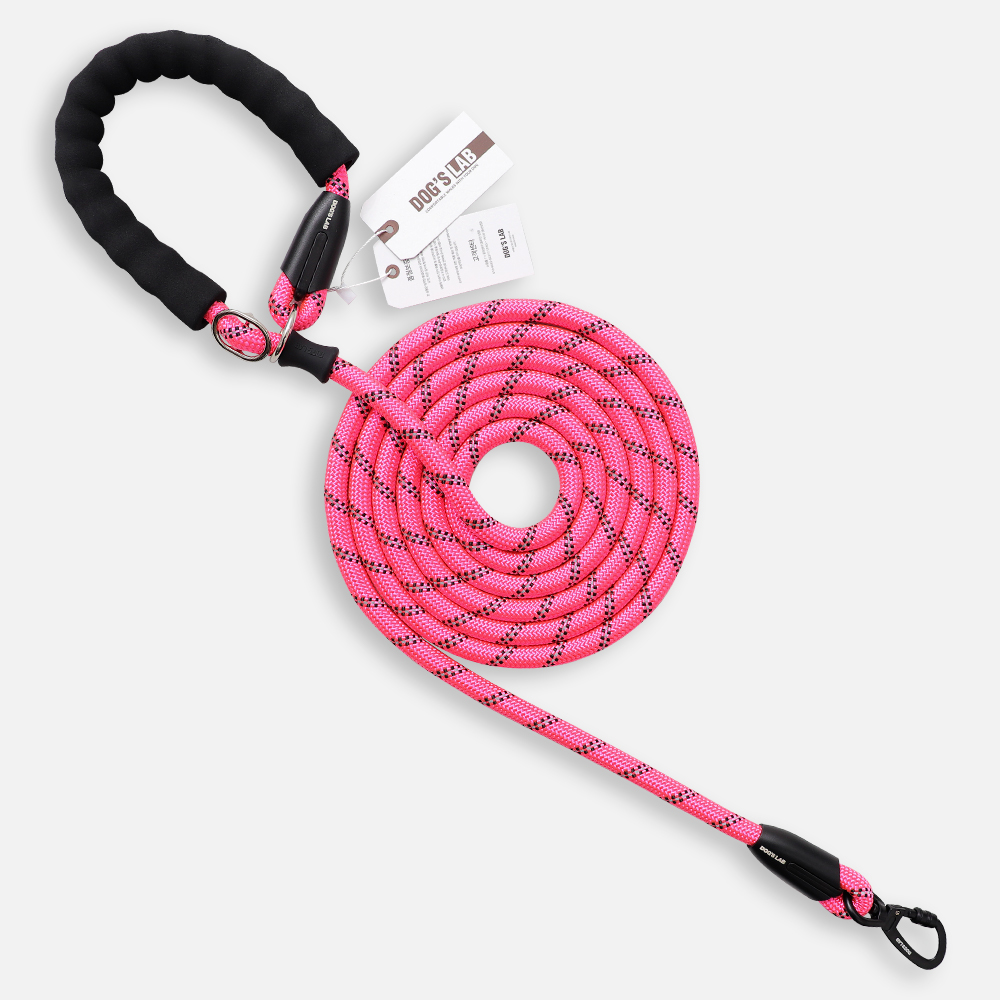 강아지 핸즈프리 리드줄 소형견 중형견 대형견 리드줄 산책줄 로프 PRO 8mm 3M