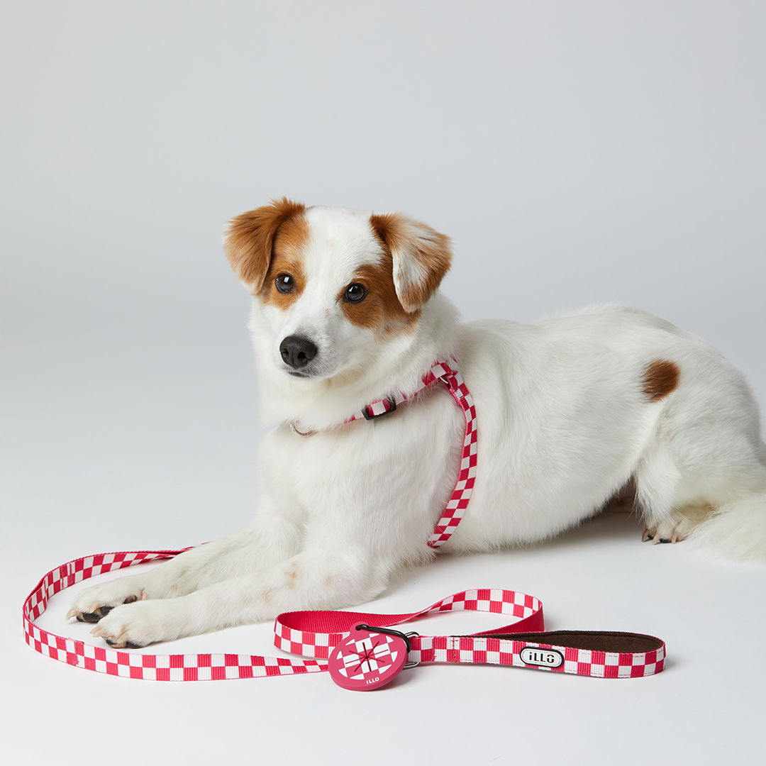 일로 하네스 (L형) 강아지 반려견 소형견 중형견 가슴줄 텐텐 핑크, S