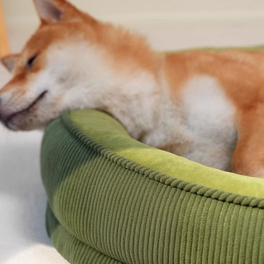 개과천선 블리스터 강아지 방석 애견방석 침대 반려견 쿠션 대형 강아지 쇼파