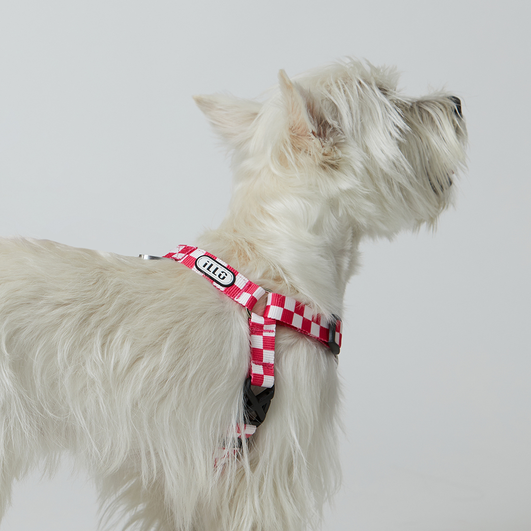 일로 하네스 (L형) 강아지 반려견 소형견 중형견 가슴줄 텐텐 핑크, S