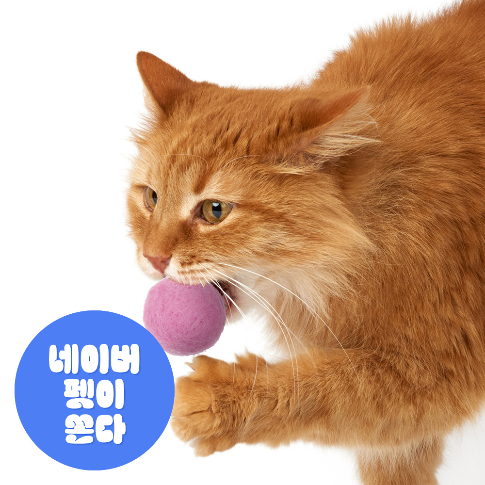 캣츠모리 찹쌀똑폼폼볼 고양이 양모볼 캣닢 마따따비 장난감 7개입