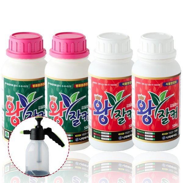  왕잘커영양제 써보니 화초가 미쳤어요? 비밀 공개
