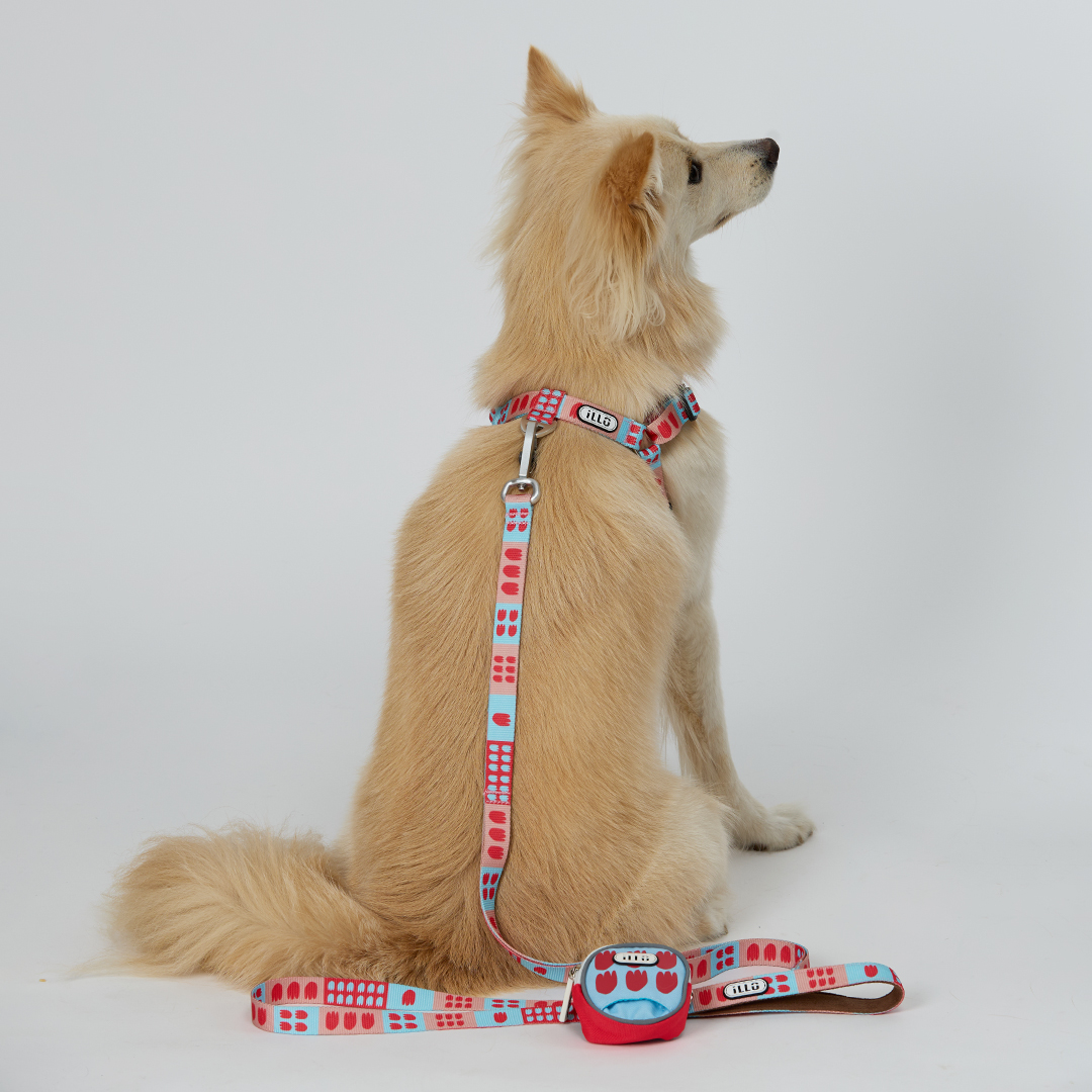 일로 하네스 (L형) 강아지 반려견 소형견 중형견 가슴줄 피버, M