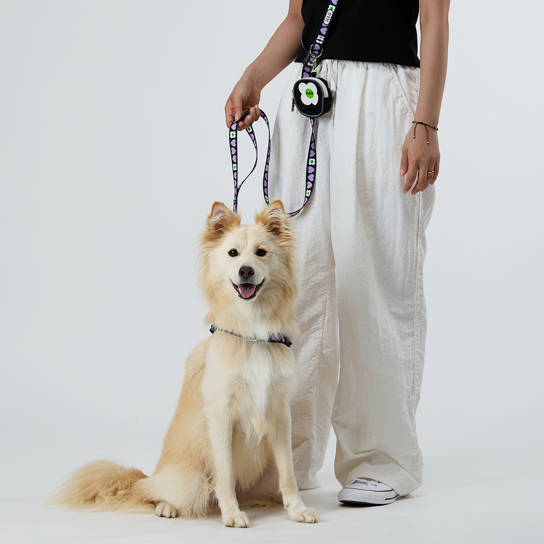 일로 하네스 (L형) 강아지 반려견 소형견 중형견 가슴줄 럽미, M