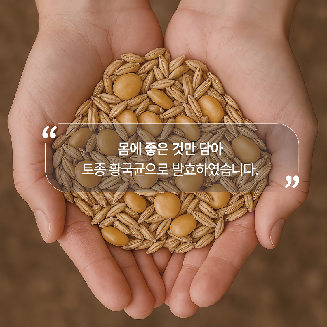 수퍼밸런스 루피니빈 발효효소 분말 2개월분 - 상세 이미지 4