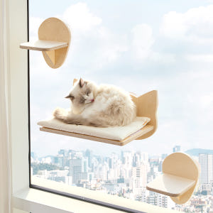 펫코본 고양이 창문 캣타워 워커 스텝 원목 선반형 카페트 솔직 후기 | 실제 사용자 리뷰 총정리 - 상품 이미지 2
