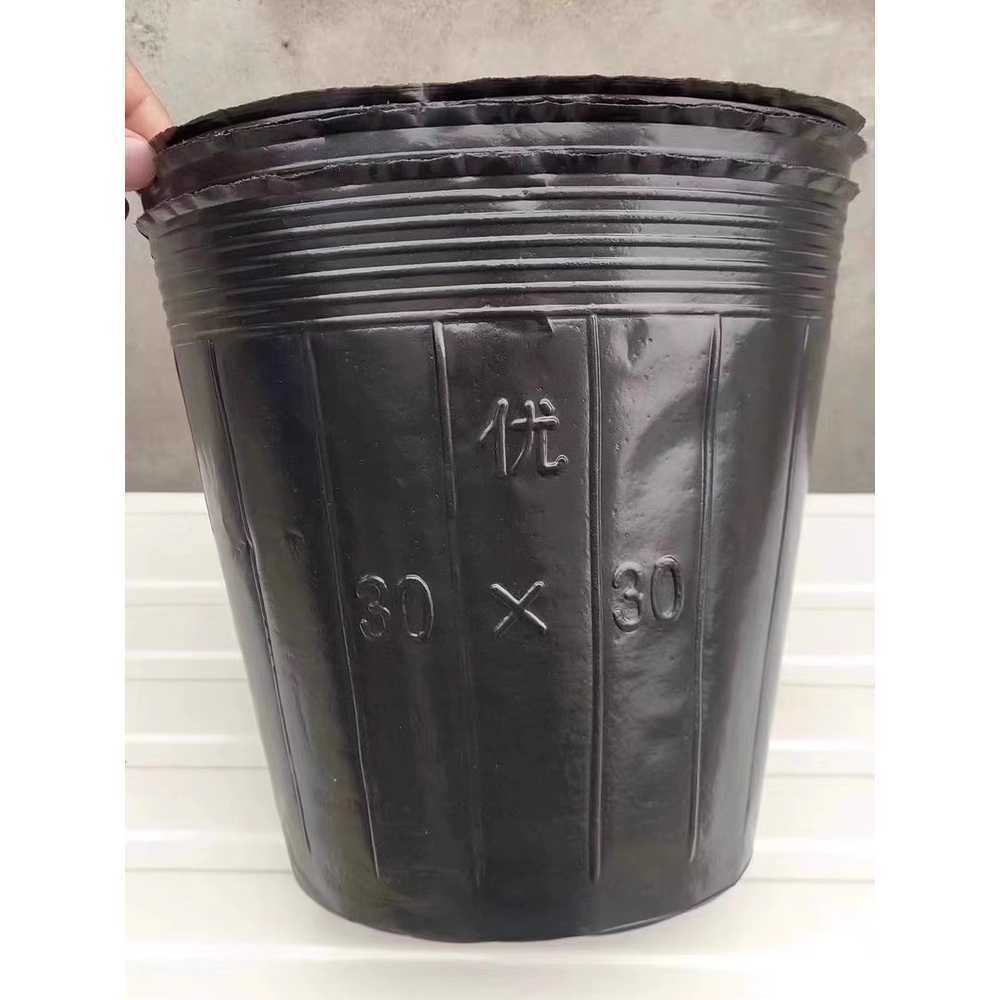 대형 비닐 화분 대용량 1000개 모종포트 컵 분갈이 26x21cm - 상품 이미지