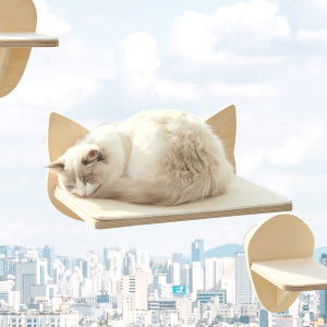 펫코본 고양이 창문 캣타워 워커 스텝 원목 선반형 카페트 솔직 후기 | 실제 사용자 리뷰 총정리 - 상품 이미지 3