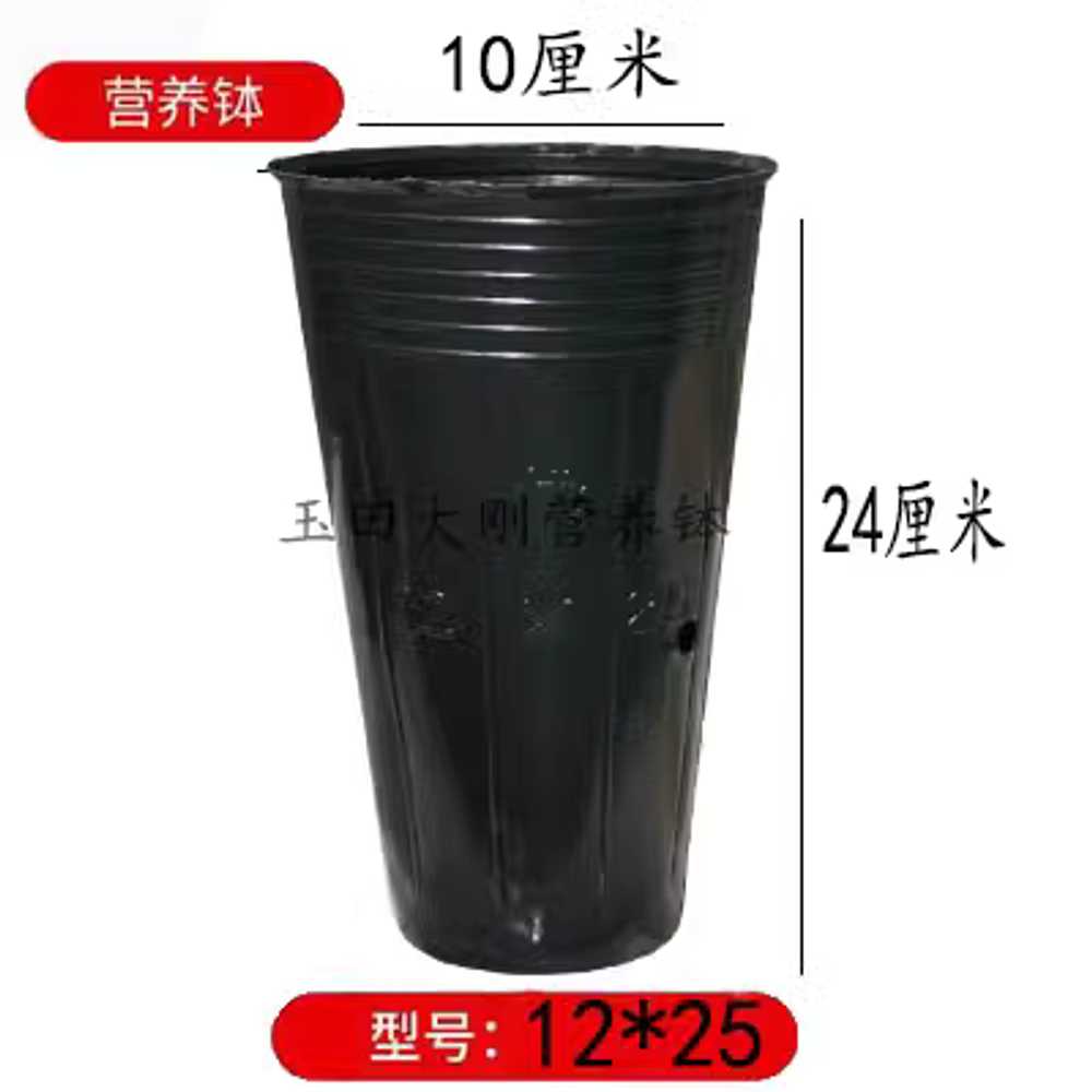 대형 비닐 화분 대용량 1000개 모종포트 컵 분갈이 26x21cm 이미지 6