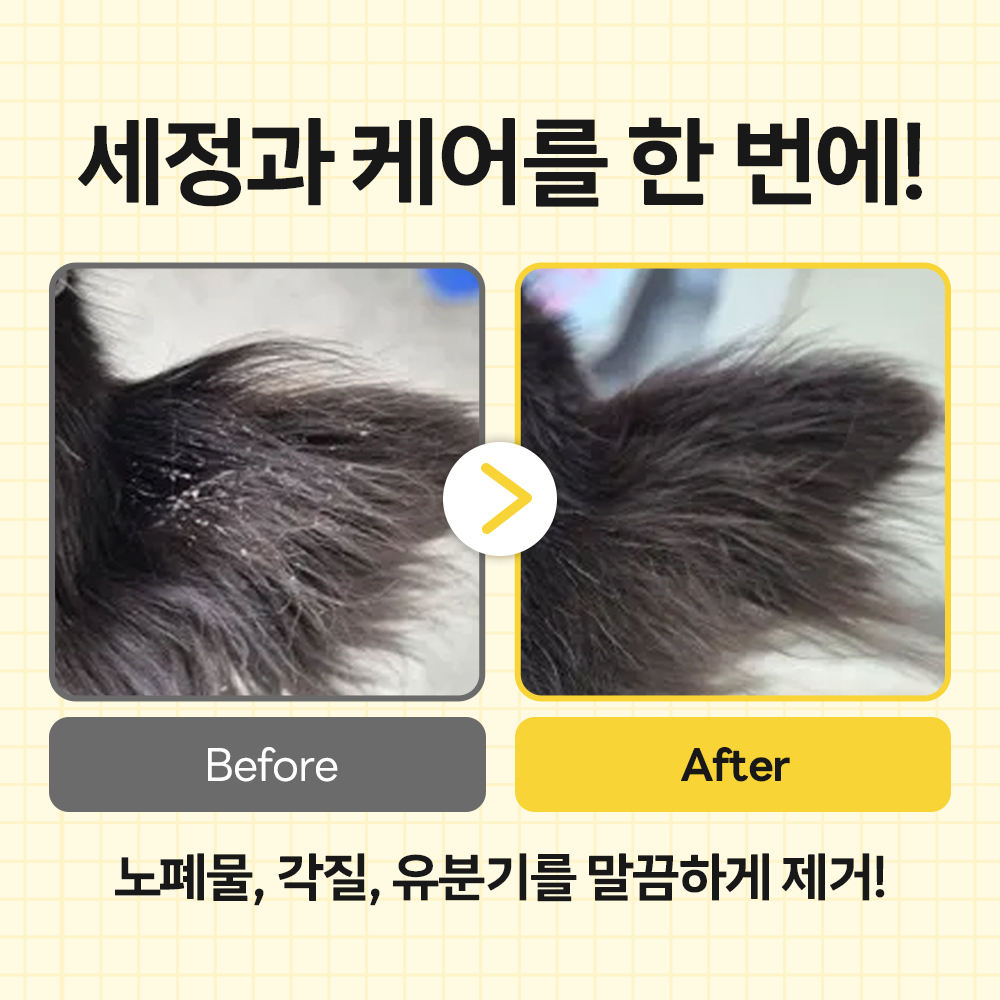 강아지 샴푸 바이랩 스킨 밸런스 강아지 샴푸 사용법 강아지 샴푸 후기 반려견 피부 관리
