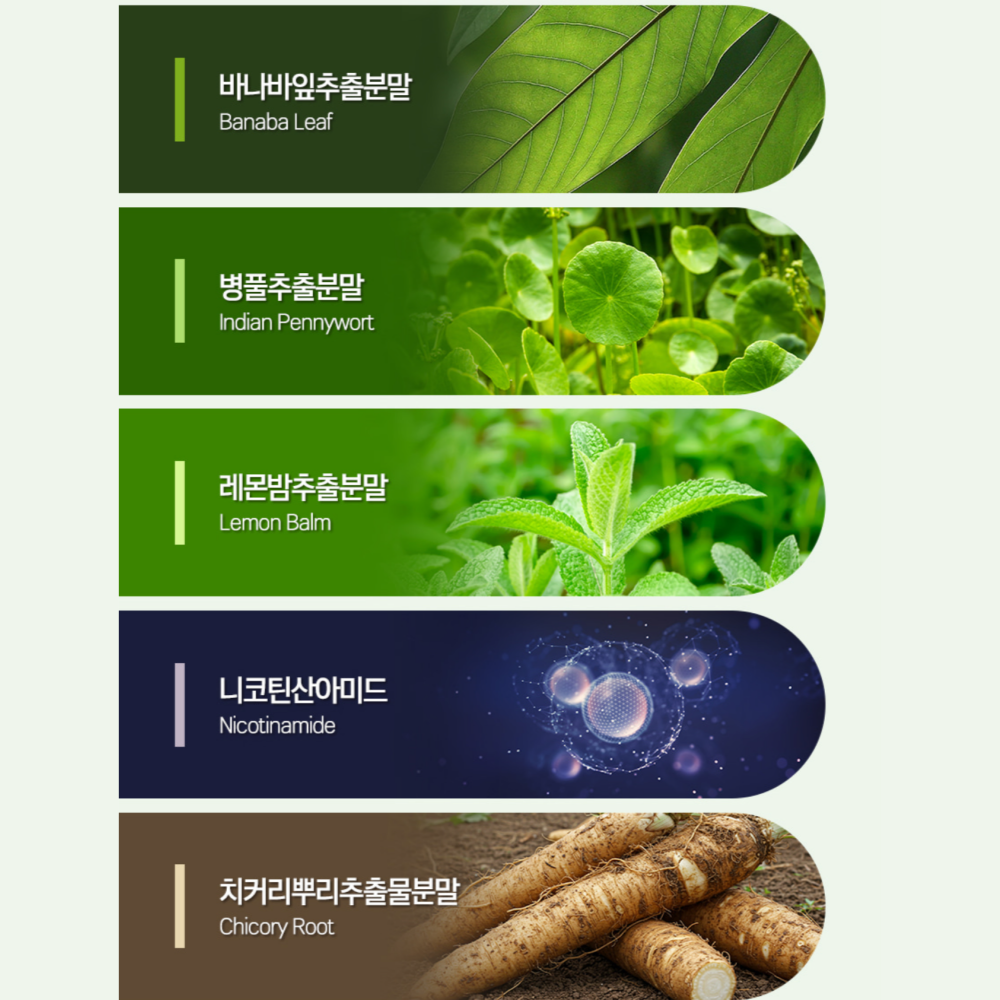 레몬버베나 추출물 360정 고함량 히비스커스 레몬밤 치커리 효능 프리미엄 12개월분 - 상세 이미지 3