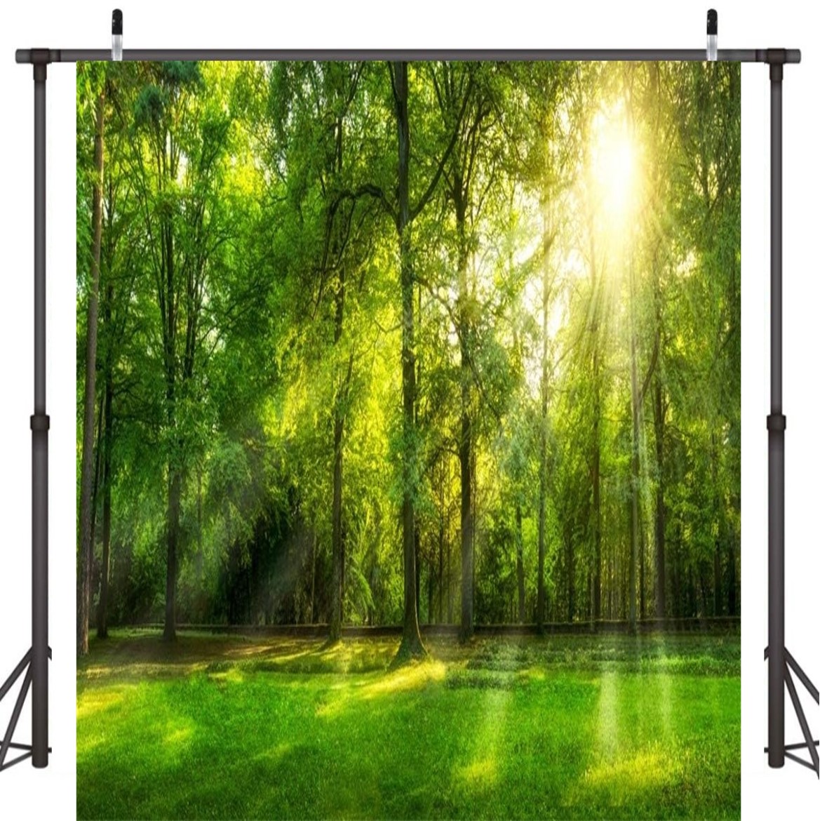 [미소쌤] 숲속 포레스트 초대형 배경 환경구성 환경판 현수막 어린이집 유치원