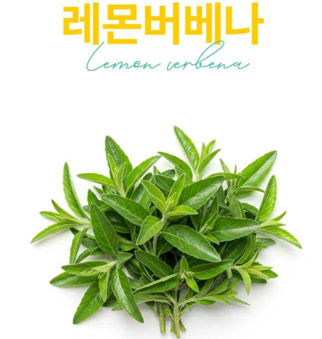 레몬베베나 레몬베버나 원데이 클렌즈 레몬버베나복합물 추출물 120정 - 상세 이미지 2