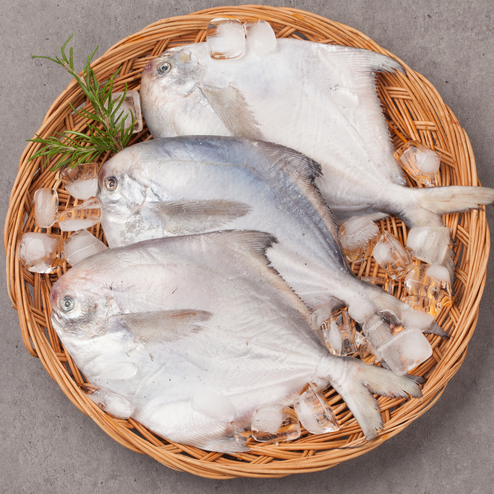 국내산 손질 병어 4kg 조림 구이용 대용량 벌크 냉동 생선 이미지 3