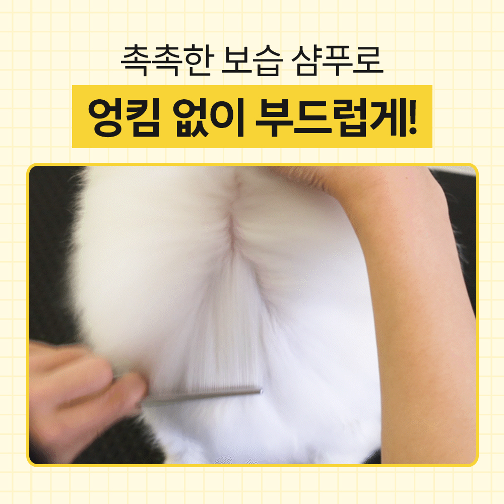 강아지 샴푸 바이랩 스킨 밸런스 강아지 샴푸 사용법 강아지 샴푸 후기 반려견 피부 관리
