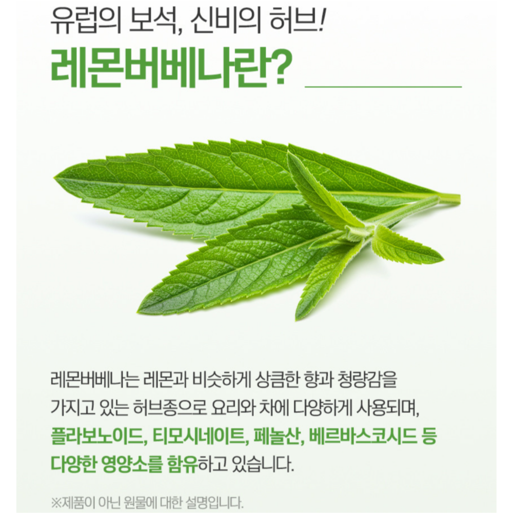 레몬버베나 추출물 360정 고함량 히비스커스 레몬밤 치커리 효능 프리미엄 12개월분 - 상세 이미지 5