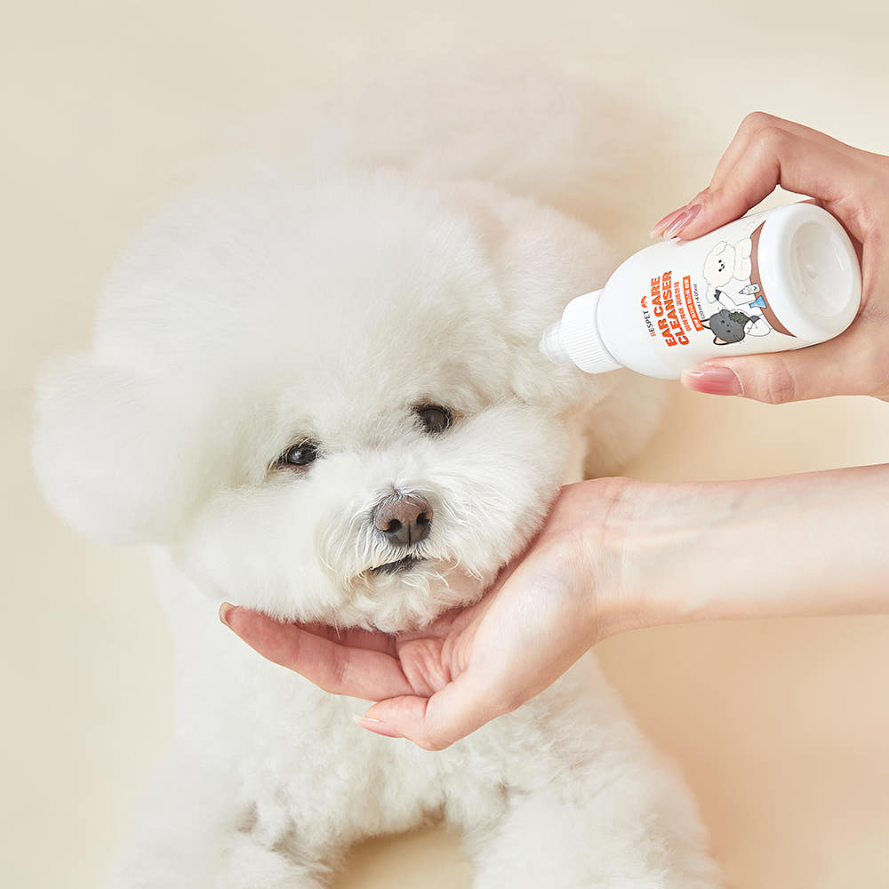 편백수 세정제 제형