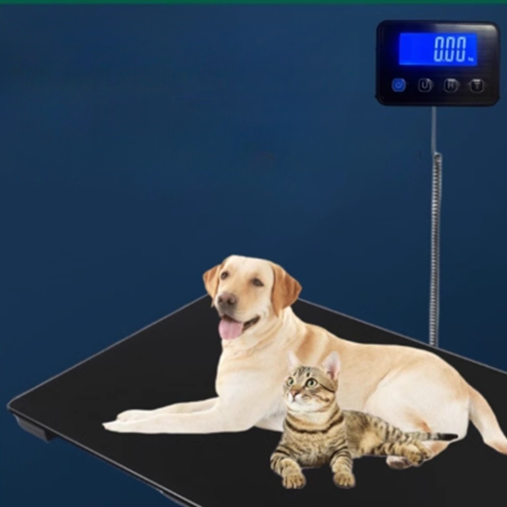 대형견 체중계 동물병원 반려동물 몸무게 측정기 검정색 80x50cm 충전형 200kg 가능 - 상품 이미지