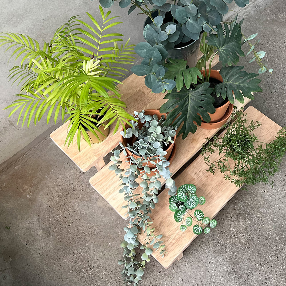 원목 화분받침대 / 식물 다육이 선반 거치대 거실 베란다 진열 정리대 800 이미지 4