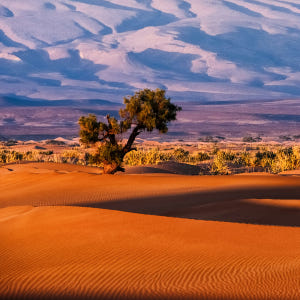 모로코 이심 전 지역 데이터 무제한 500M 1일 eSIM 솔직 후기 | 실사용자 리뷰 분석 - 상품 이미지 1