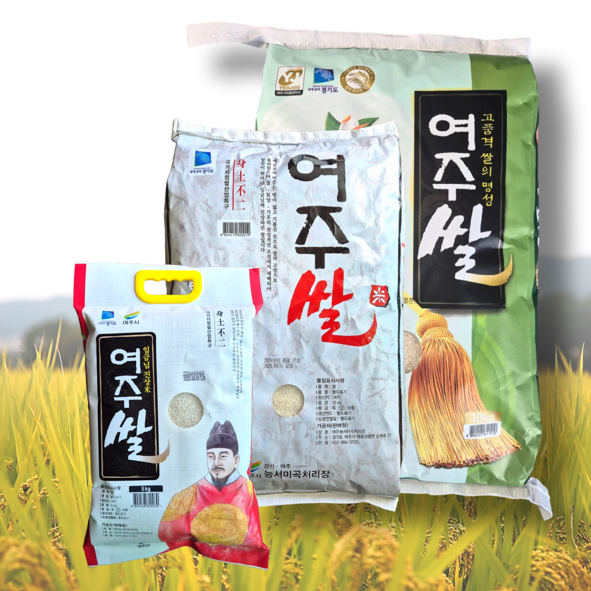 25년 햅쌀 여주쌀 5kg 10kg 구하기힘든 쌀 농협산 아님 최근도정