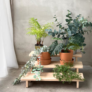 원목 화분받침대 / 식물 다육이 선반 거치대 거실 베란다 진열 정리대 8... 실사용 후기 | 효과 있을까? - 상품 이미지 3