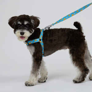 일로 리쉬 리드줄 반려견 산책용품 2m 스텔라, 2.4m 핸즈프리 솔직 후기 | 실제 사용자 리뷰 총정리 - 상품 이미지 4