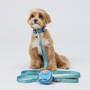 일로 리쉬 리드줄 반려견 산책용품 2m 스텔라, 2.4m 핸즈프리 솔직 후기 | 실제 사용자 리뷰 총정리 - 상품 이미지 2