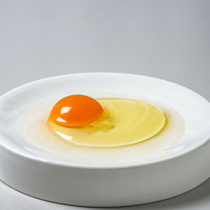 자연방사 동물복지 유정란 1번계란 방목계란 무항생제 사육환경번호1번 60... 맛있게 먹은 솔직 후기 - 상품 이미지 3