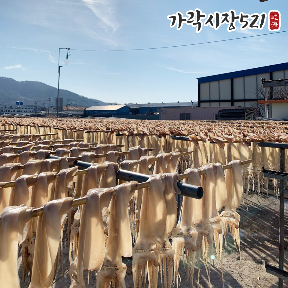 구룡포 마른오징어 대 5미 (320g이내) 건오징어 이미지 8