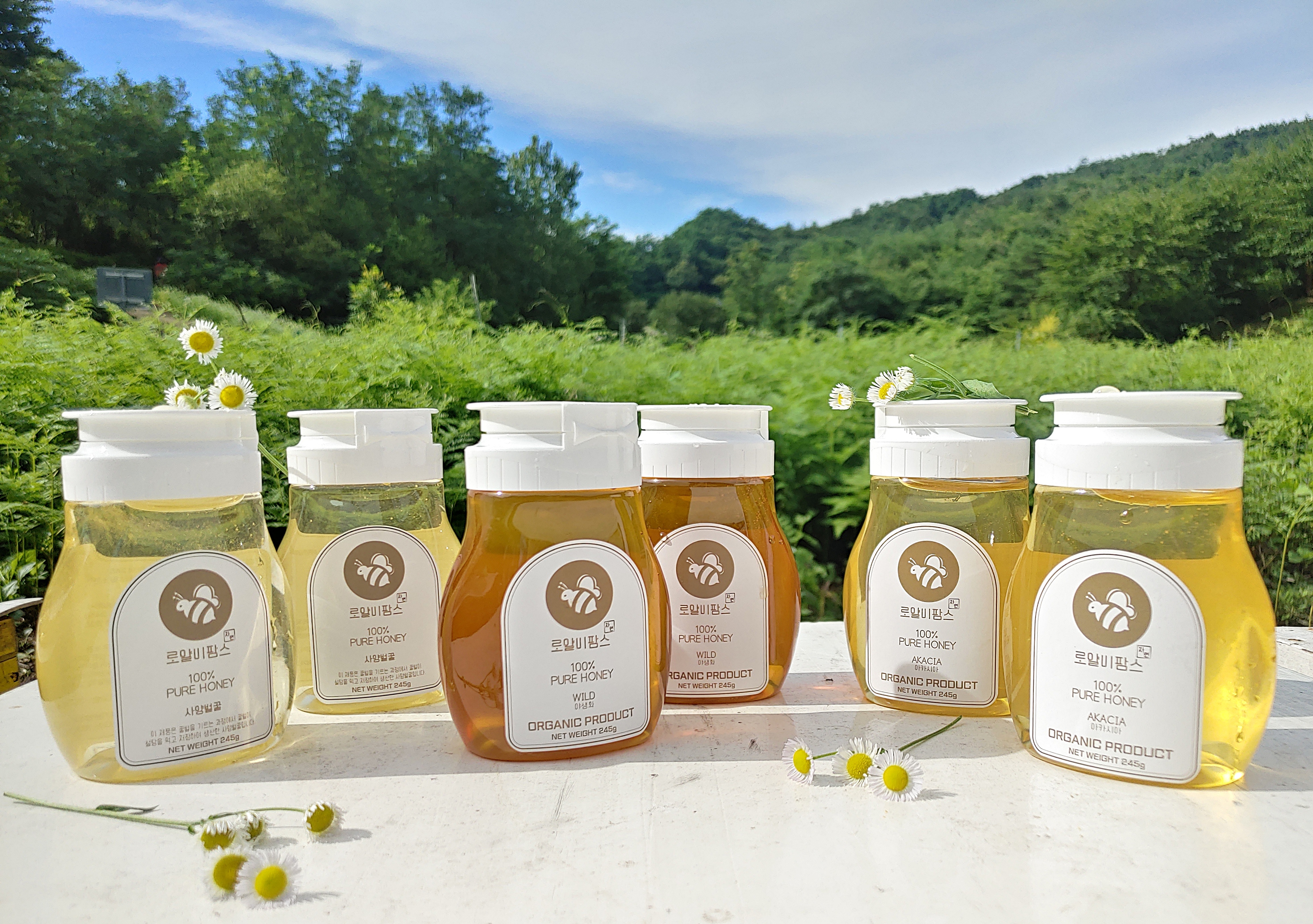 아카시아벌꿀 사양꿀 밤 피나무 야생화 잡 국내산 국산프리미엄 자연 천연벌꿀