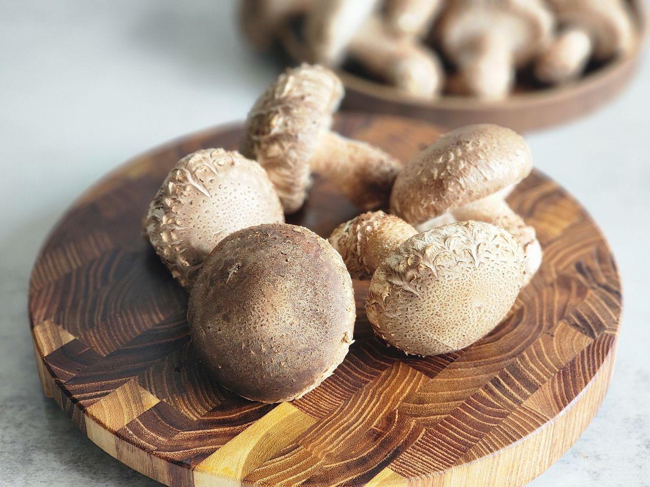국내산 무농약 산지직송 송화버섯 가정용 선물용 500g 1kg - 상세 이미지 2