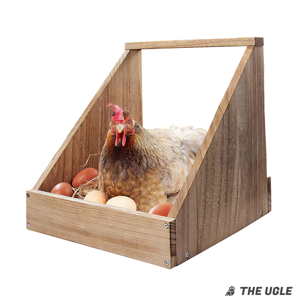 닭 둥지 산란통 조립식 나무 상자 닭장 알 벽걸이 집