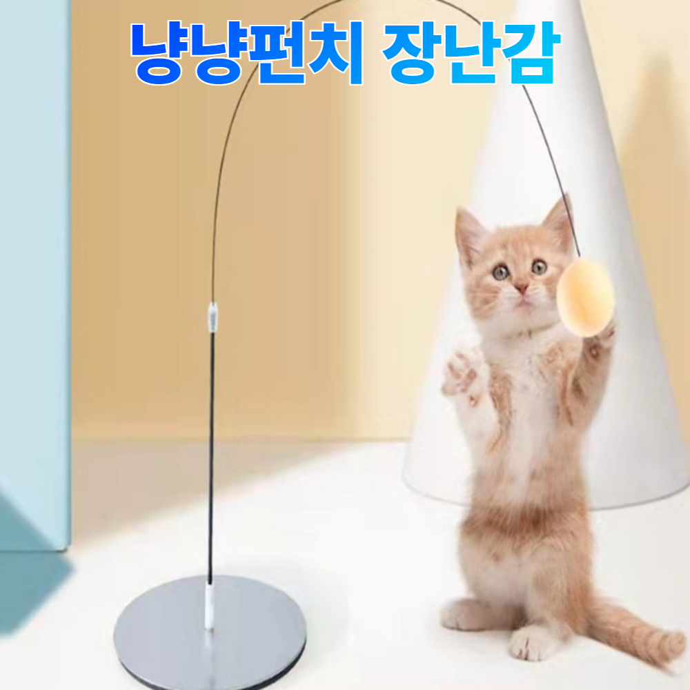 리얼타격 나홀로 탁구 연습기 다이어트 홈트 수행평가 이미지 6