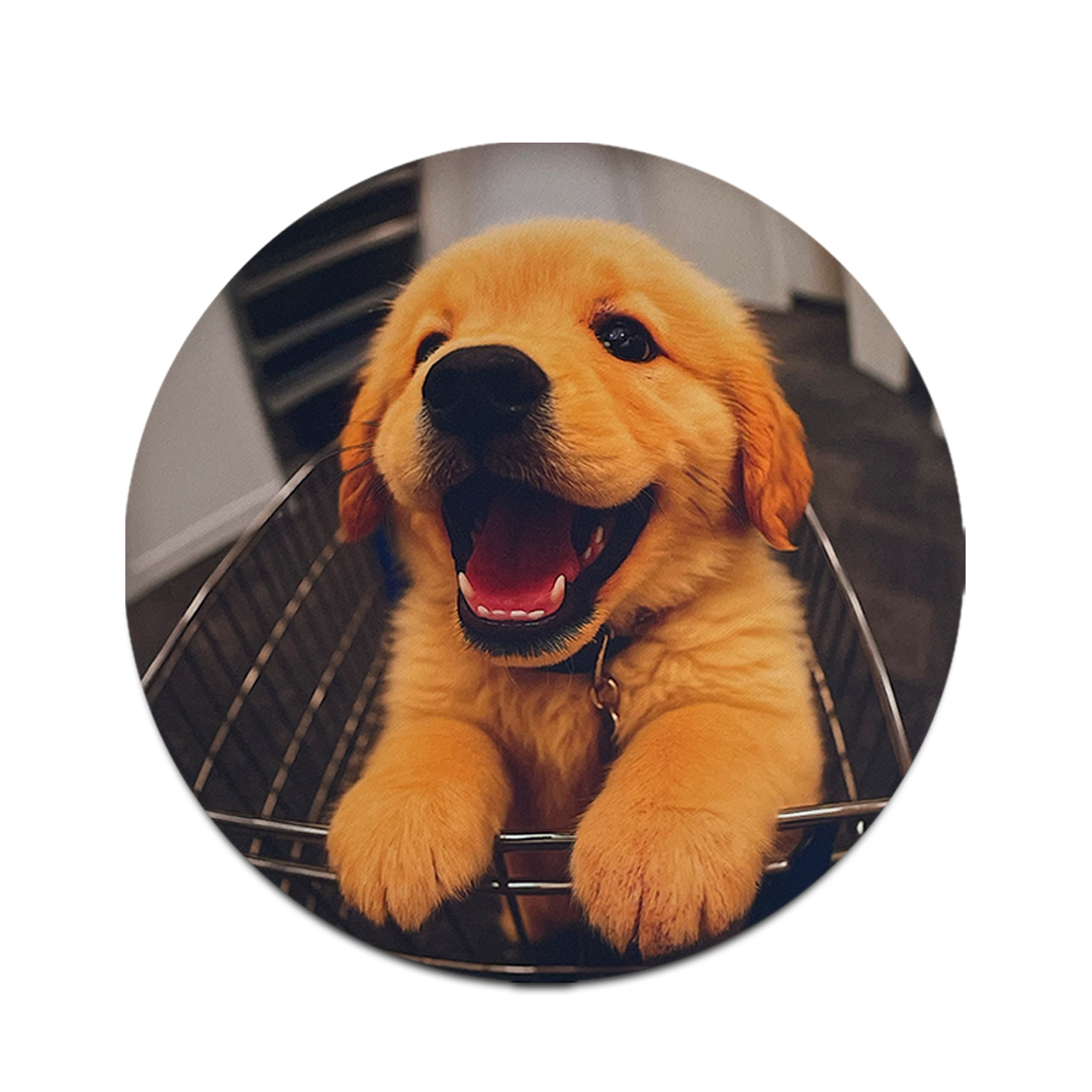 애시드로우 극세사마우스패드 캣시리즈 Retriever Joy - 상품 이미지