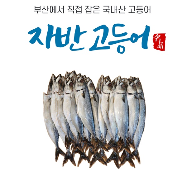 국내산 자반고등어 12미 대용량 구이 조림 간편 반찬