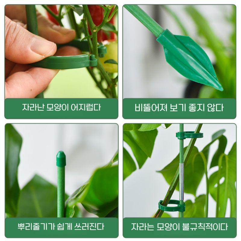 고추 가지 지주대 오이 수박 지지대 텃밭 주말농장 60cm 5개 유리섬유 - 상세 이미지 5