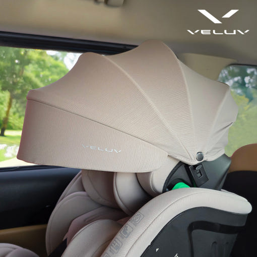 토드비 벨럽 V90의 피치휩 색상과 포근한 이너시트 이미지