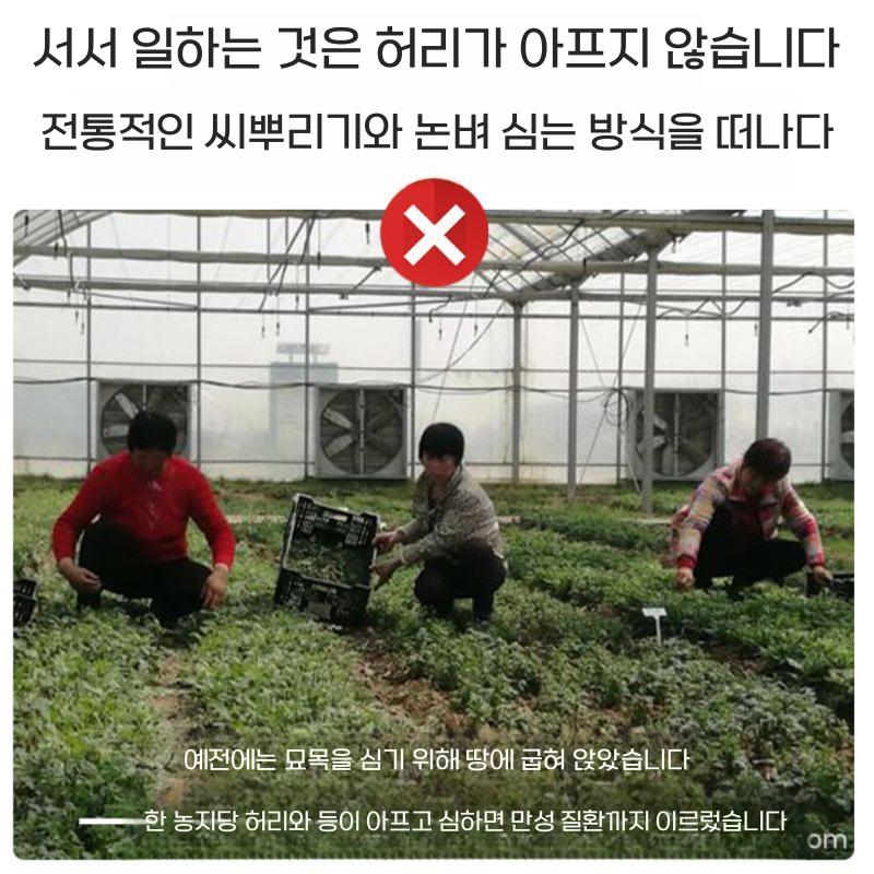 고추 모종이식기 감자 옥수수 종자 심는 기계 A 한손 모종기(내경 25cm) - 상세 이미지 3