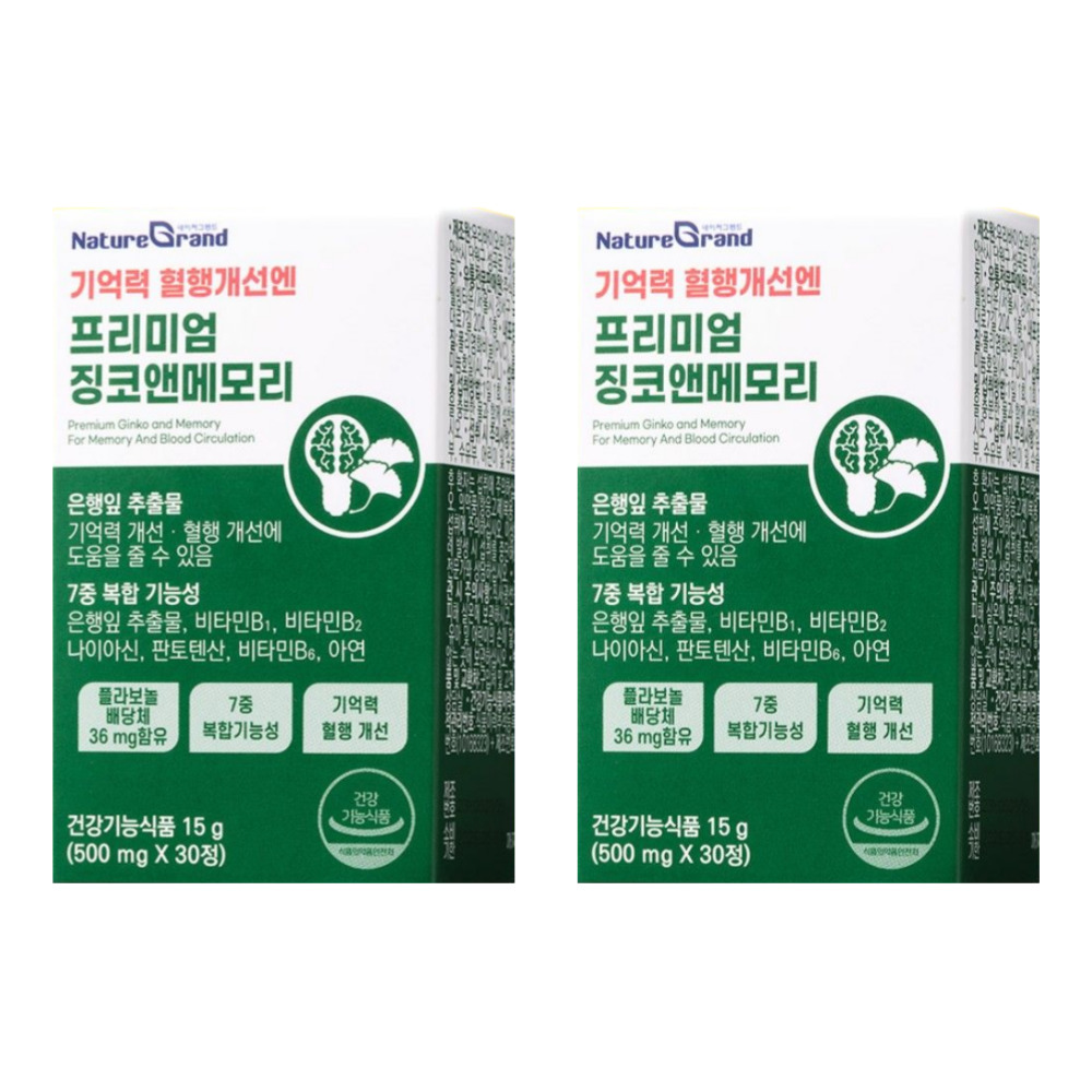 네이처그랜드 프리미엄 징코 앤 메모리 은행잎추출물 두뇌 은행엽엑스 약1달 30정, 2개 - 상품 이미지