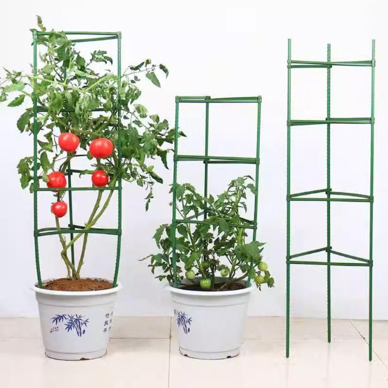오이 가지지지대 고추 호박 지주대 가지유인 식물지지대 75cm 삼각 11mm - 상세 이미지 5