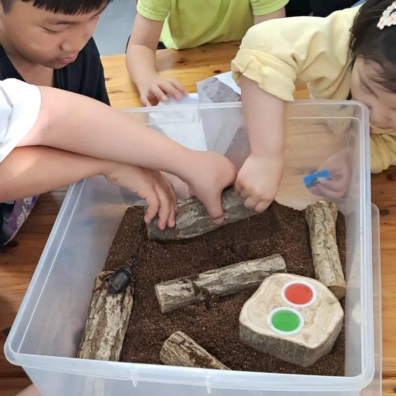 [1박 2일] 홍천 가족농장체험 + 가마솥 백숙 만들기 + 팜스테이 | 식사, 숙박 포함 by 장풍이체험학교 - 상세 이미지 5
