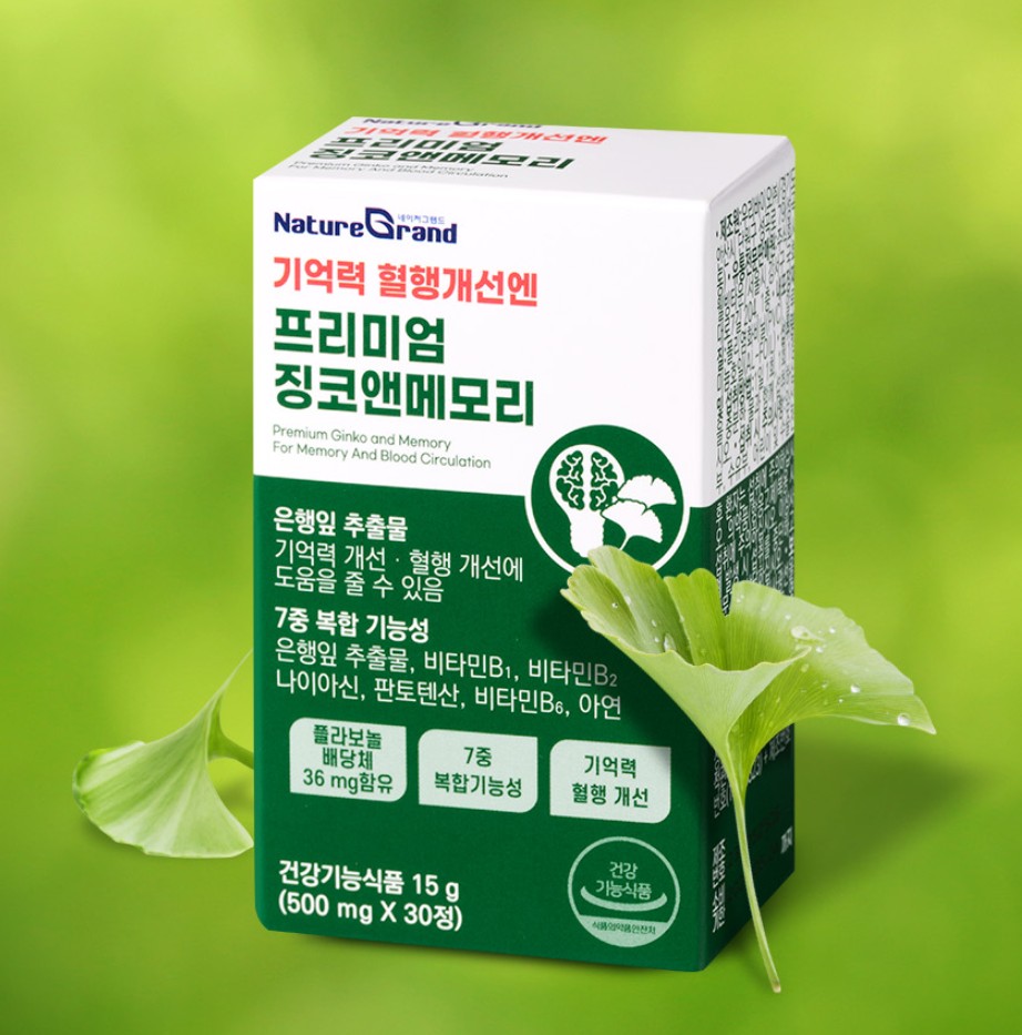 네이처그랜드 프리미엄 징코 앤 메모리 은행잎추출물 두뇌 은행엽엑스 약1달 30정, 5개 - 상세 이미지 4