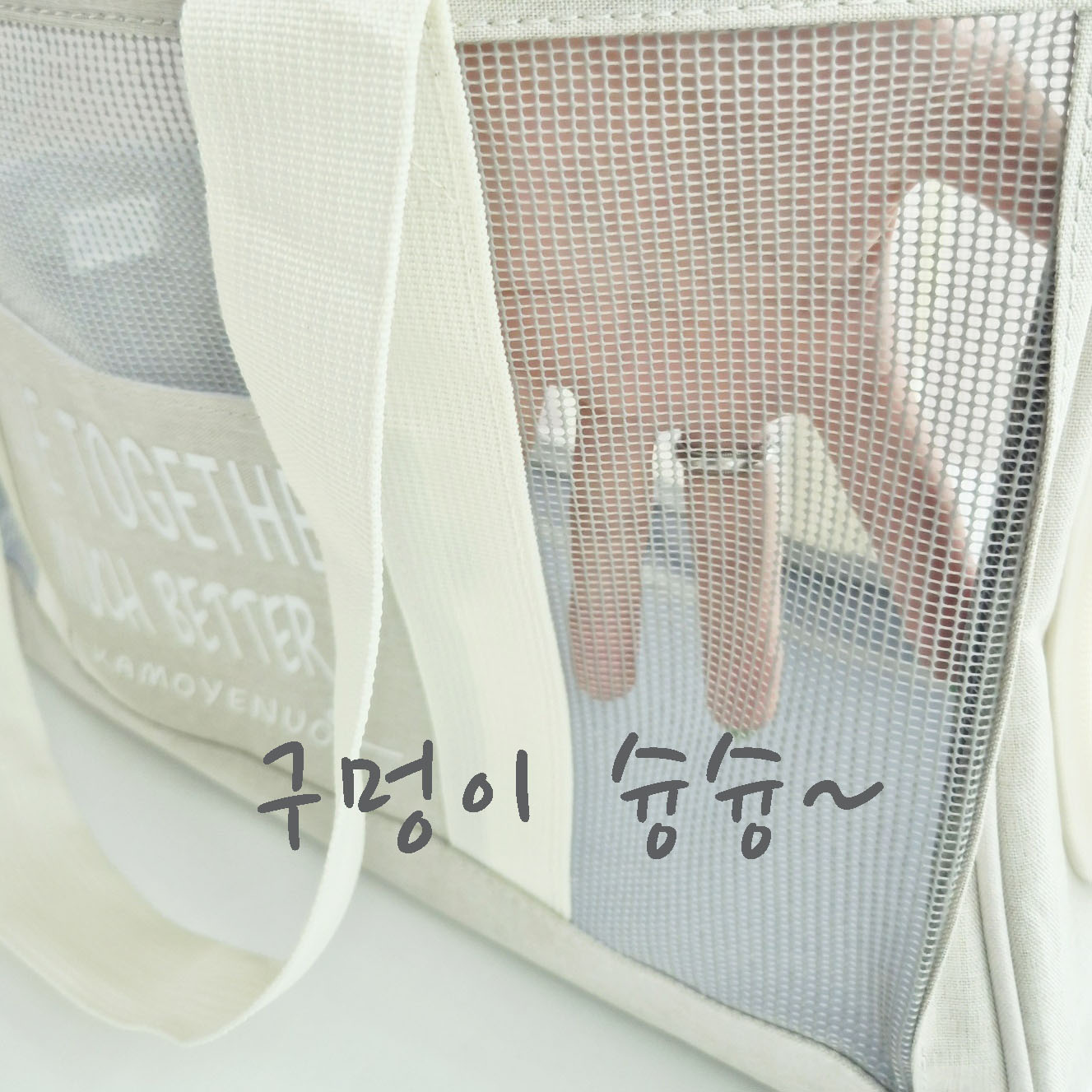 강아지 가방 애견 이동가방 기내용 숄더백 매쉬 고양이 이동장 여름 슬링백 이미지 2
