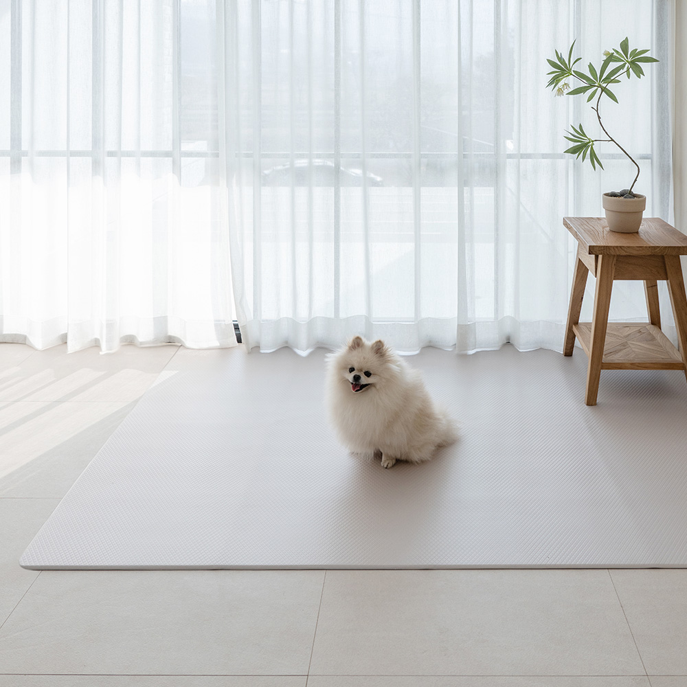 [러그140x180cm] 디팡 4mm 펫 미끄럼방지 강아지 고양이 애견매트 슬개골 반려견 이미지 6