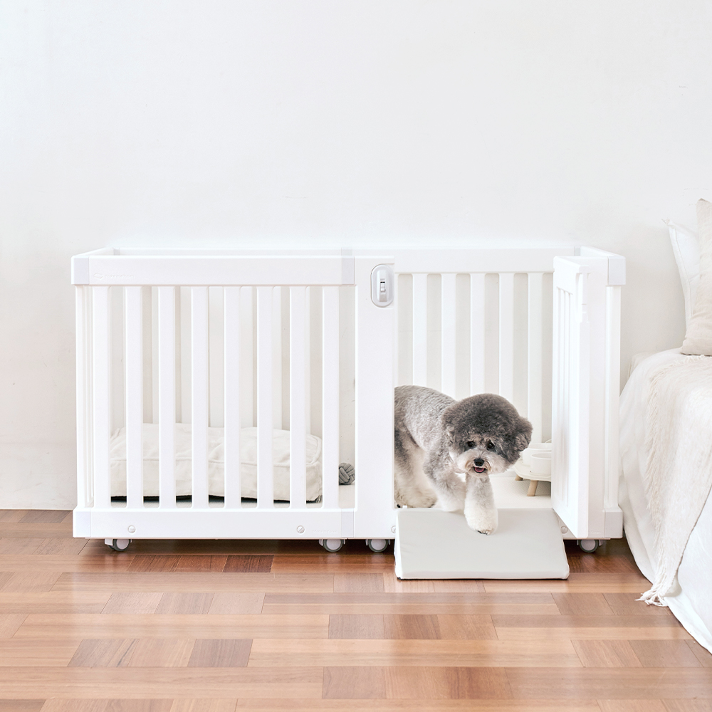 텍미홈 디디미 논슬립 펫스텝 강아지 낮은계단 이미지 3