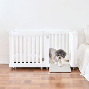 텍미홈 디디미 논슬립 펫스텝 강아지 낮은계단 솔직 후기 | 실제 사용자 리뷰 총정리 - 상품 이미지 3