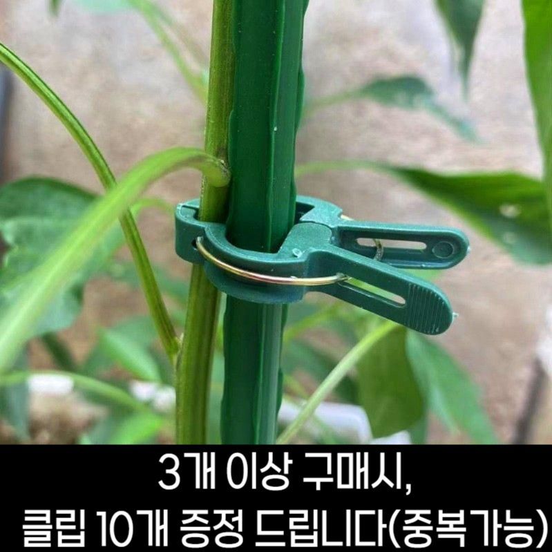 오이 가지지지대 고추 호박 지주대 가지유인 식물지지대 75cm 삼각 11mm - 상세 이미지 4
