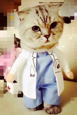 펫 찍지마! 처키 코스튬 코스프레 강아지 고양이 의상 처키 옷 - 상세 이미지 5
